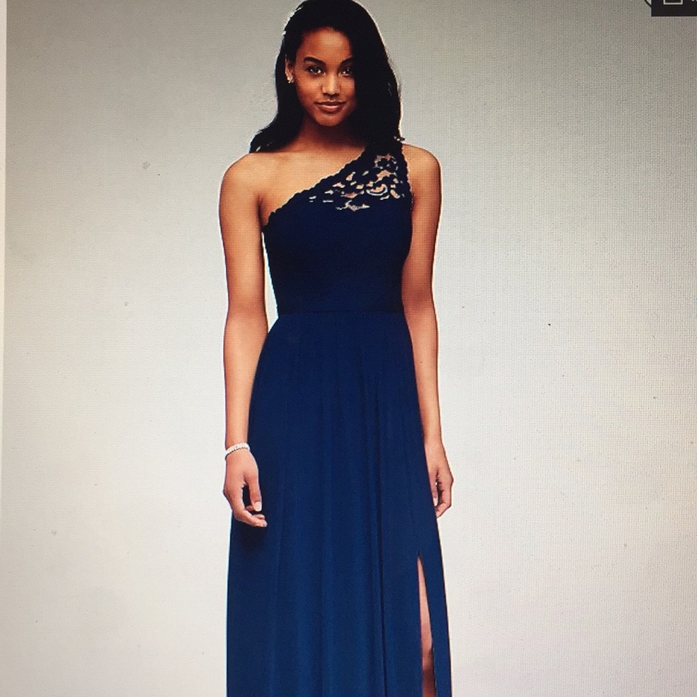 David’s Bridal long one shldr lace and mesh dress